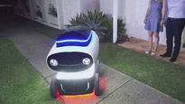 Dominos Autonomous Delivery Robot